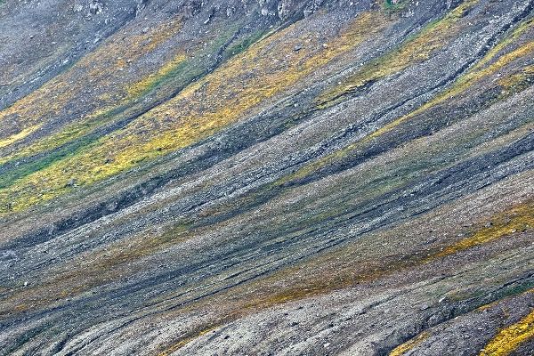 Pattern on mountain slope-Svalbard-Norway